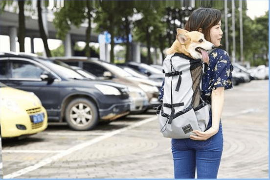 Venturepaws Ventilated Pet Adventure Backpack