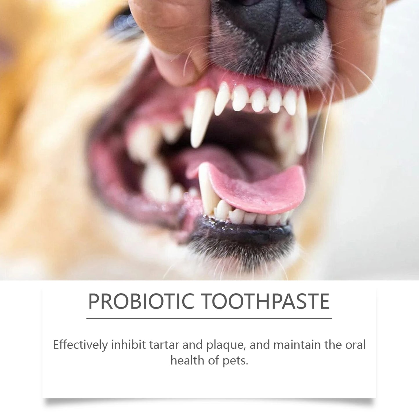 Pet Probiotic Toothpaste with Fresh Breath Formula Improve Bad Breath Cleaning Teeth Stains Reduce Dental Plaque Pet Oral Care