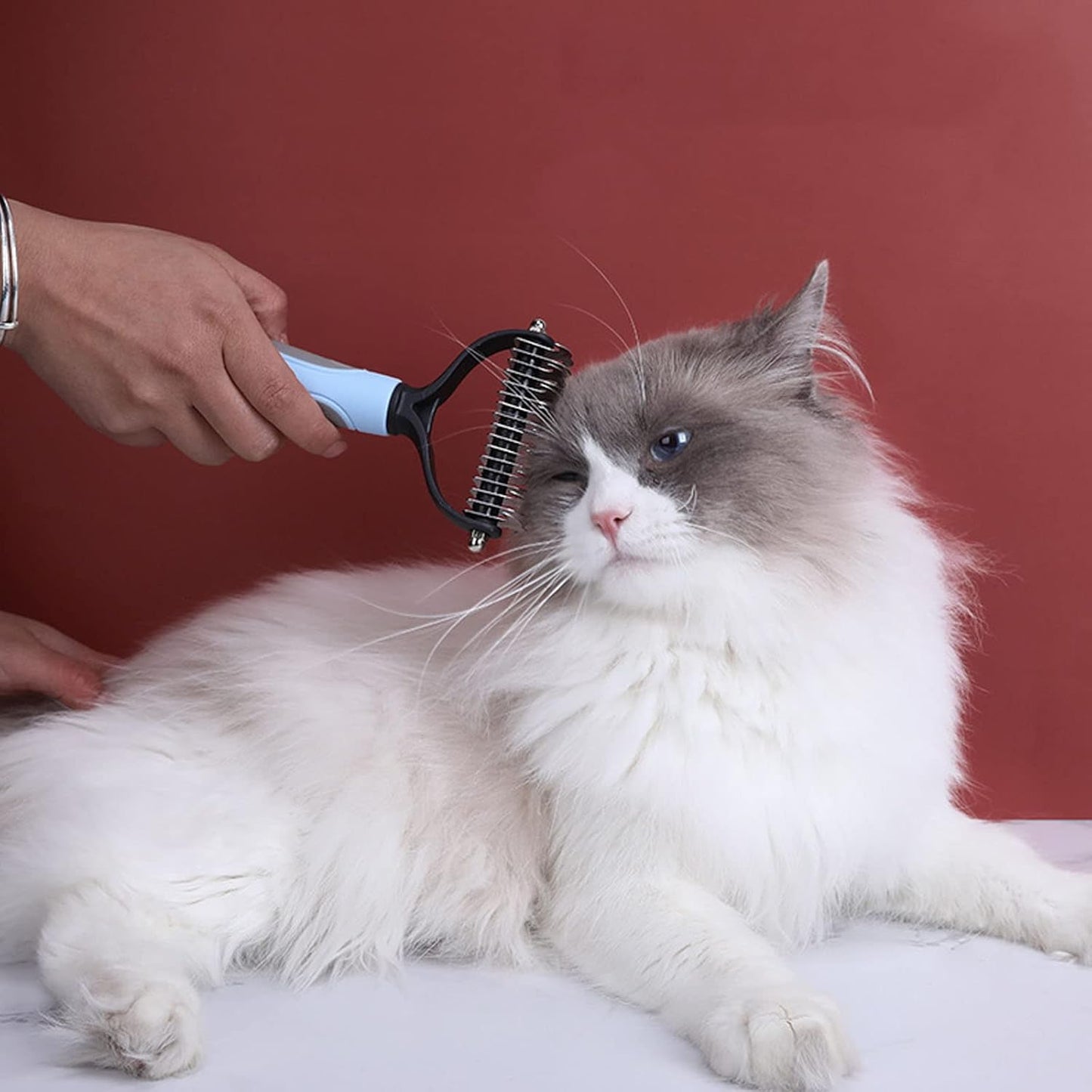 Dog Brush, Pet Grooming Brush, Double Sides Shedding, Faster Dematting Hair and Remove Knots, Undercoat Rake Comb for Cats and Dogs, Cat Nail Clipper Dog Grooming Kit Dog Brush for Shedding, Extra Wide (Blue)