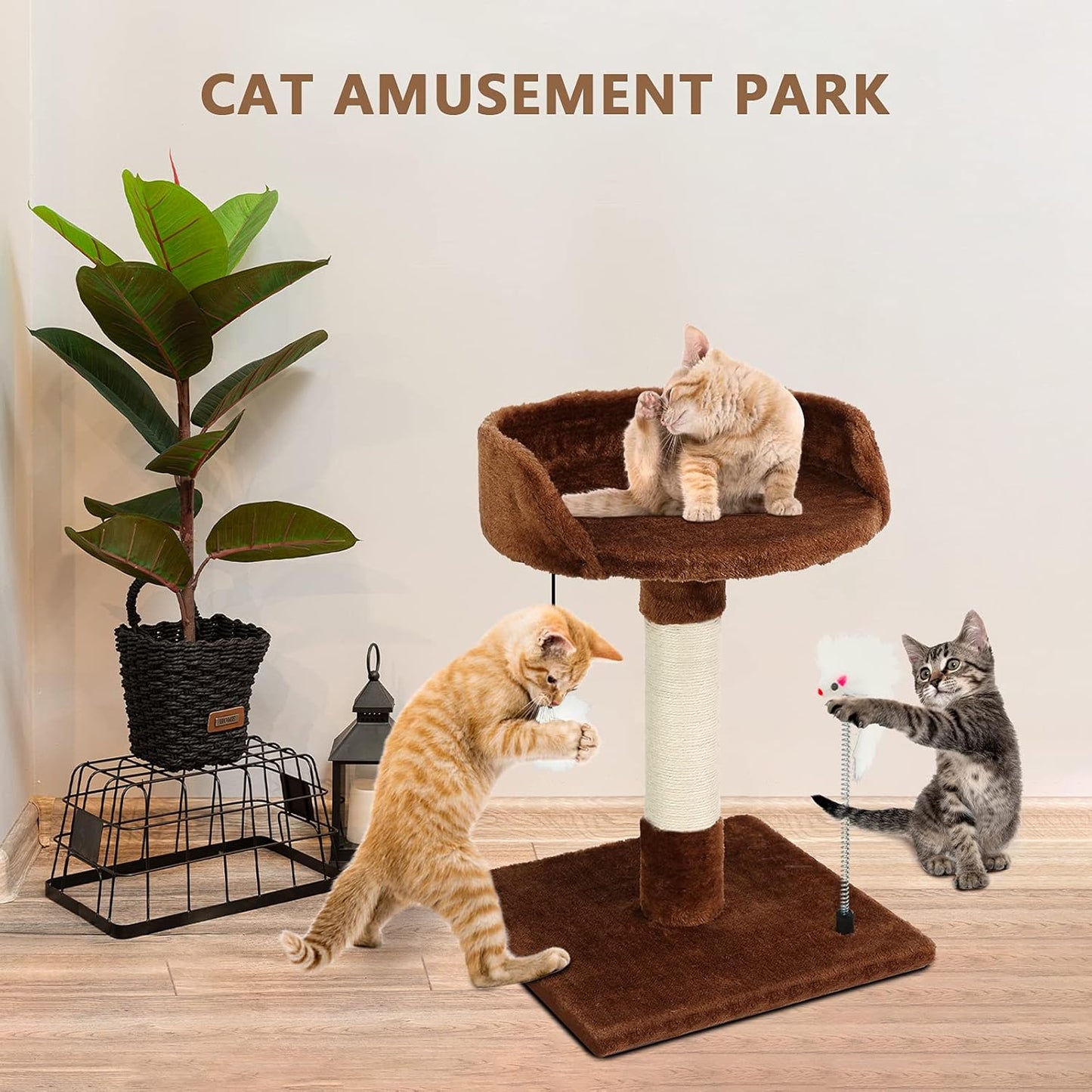 Cat Scratching Posts with Bed for Kittens, Cat Activity Tree, Cat Tower with Plush Platform Cozy Bed, Natural Sisal Scratcher Post, Hanging Balls and Spring Plush Mouse Toy (Brown)