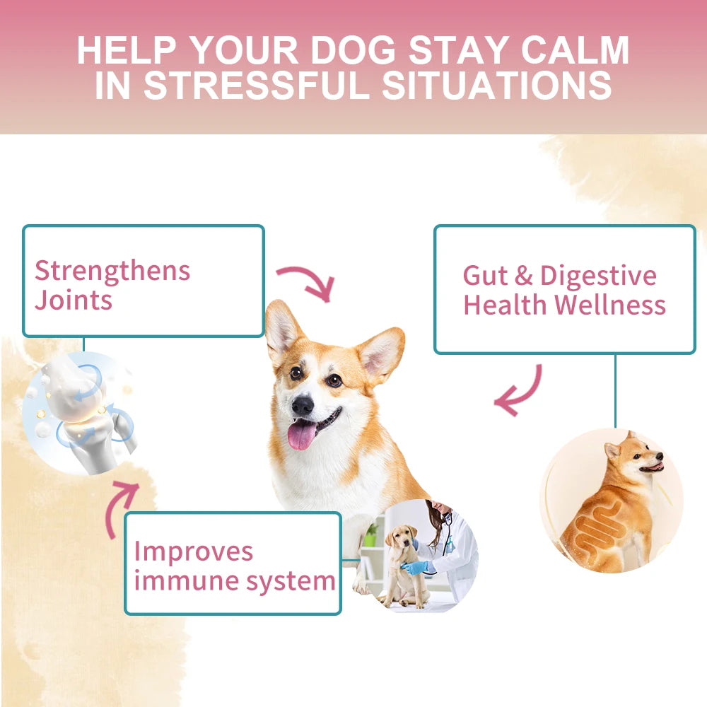 NUTRIDOG Multivitamin Chews for Dogs with Probiotics Glucosamine&Digestive Enzymes Supports Joint Health Immune System&Gut
