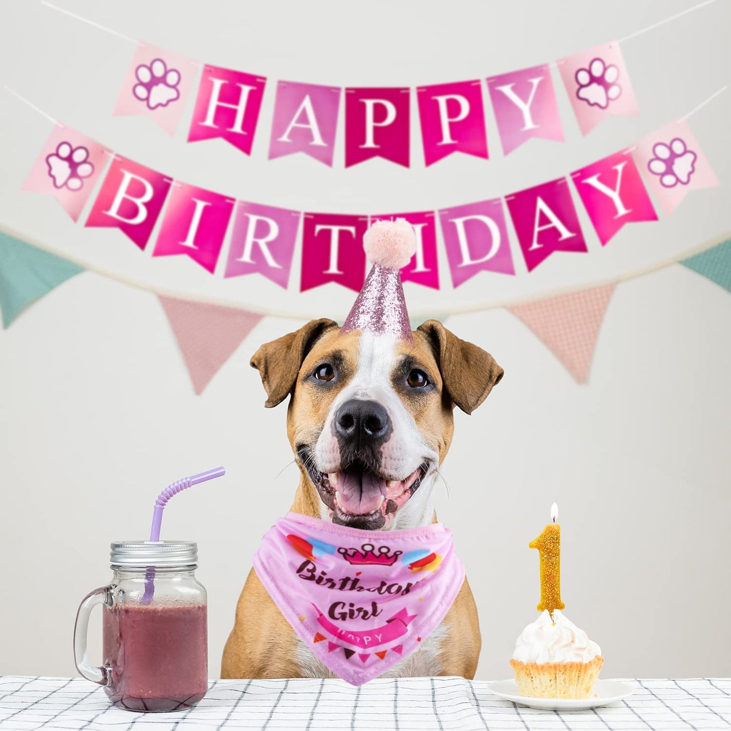Dog Birthday Party Supplies Bandana Hat Banner Set Boy Girl Cute Bow Tie Scarf Birthday Decorations (Pink,Dog Girl)