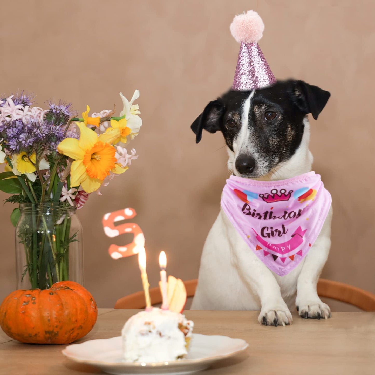 Dog Birthday Party Supplies Bandana Hat Banner Set Boy Girl Cute Bow Tie Scarf Birthday Decorations (Pink,Dog Girl)