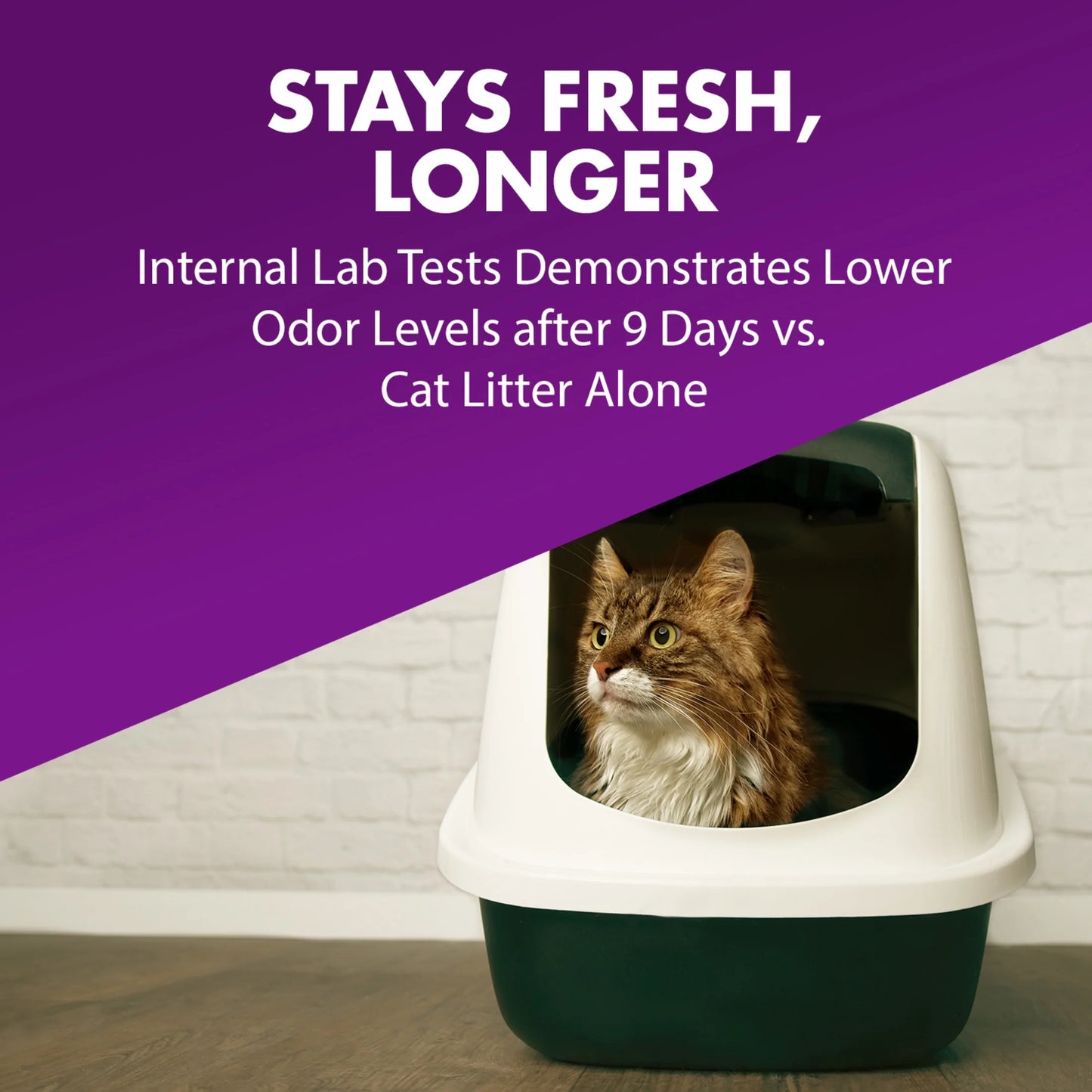 (4 Pack) Double Duty Cat Litter Deodorizer and Pet Odor Eliminator, 33 Oz Box