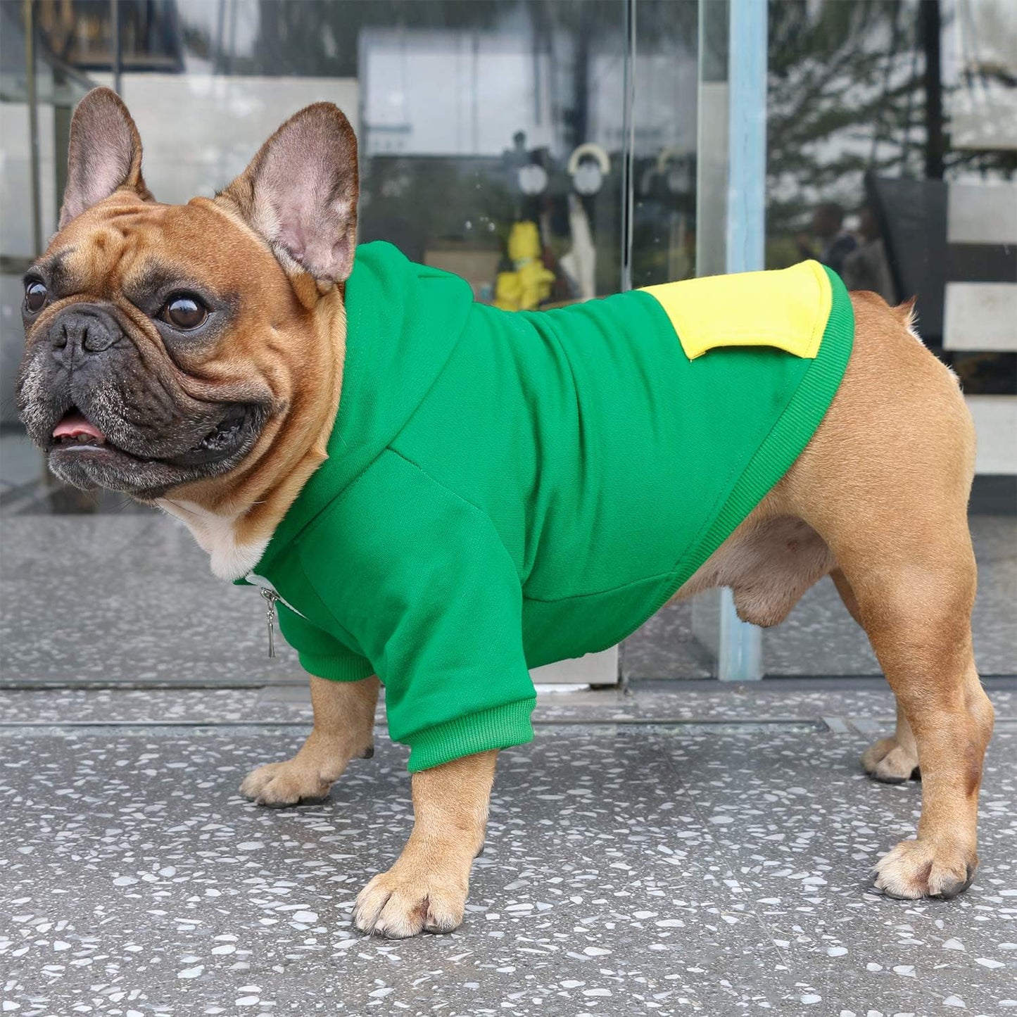 Pug Clothes Hoodies for Dogs Puppy French Bulldog Frenchie English Boston Terrier Bully Pitbull Sweatshirt Sweater Clothing Cold Weather Winter Coats - Green/Small