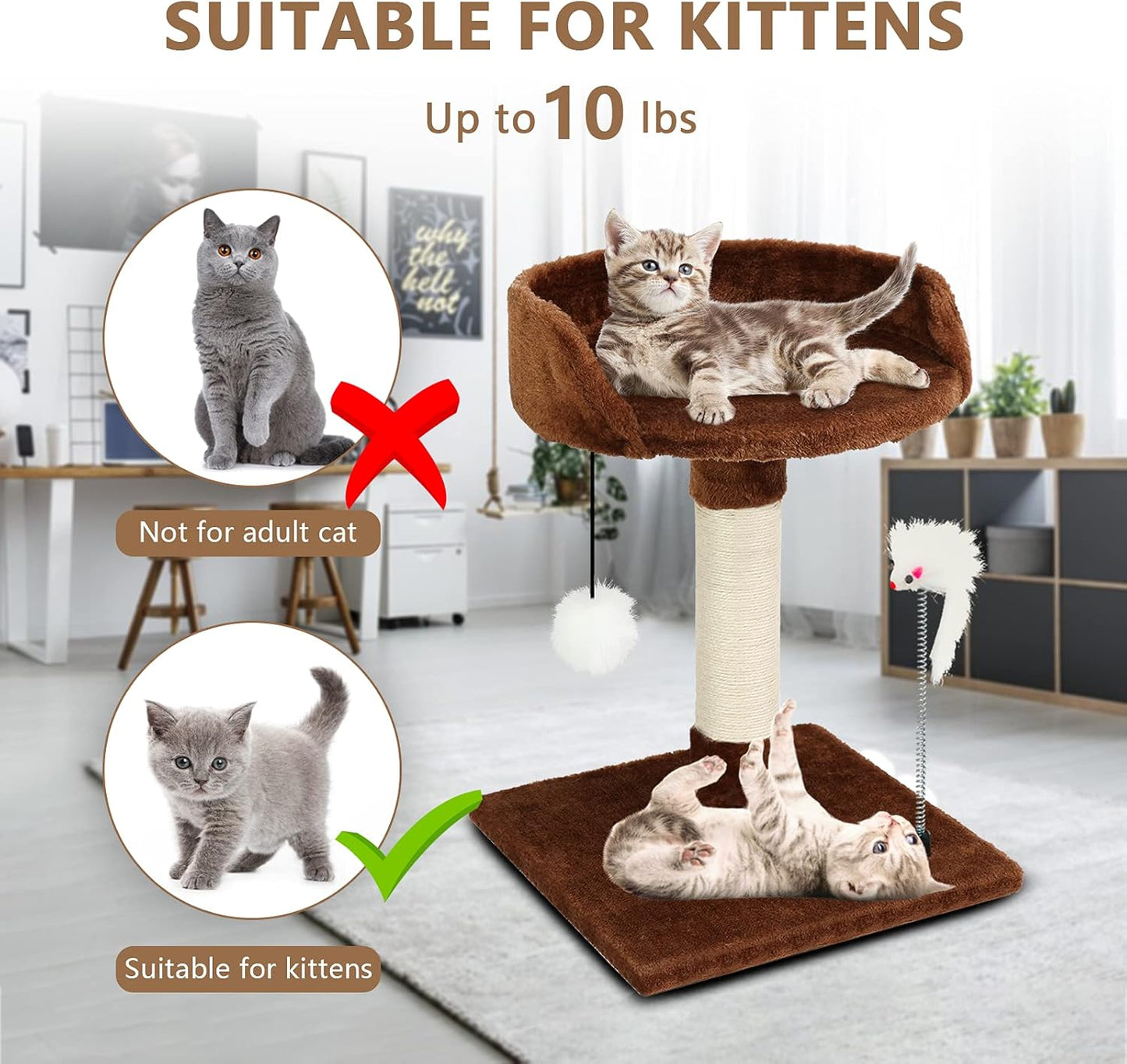 Cat Scratching Posts with Bed for Kittens, Cat Activity Tree, Cat Tower with Plush Platform Cozy Bed, Natural Sisal Scratcher Post, Hanging Balls and Spring Plush Mouse Toy (Brown)