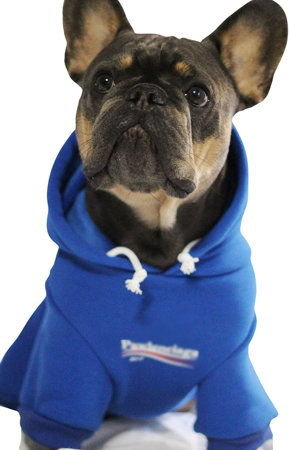 Stylish Streetwear Blue Dog Sweatshirt Tracksuits, Cats Hoodies, Dog Outfit for Cat Puppy Small Medium (3XL)