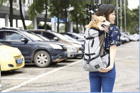 Venturepaws Ventilated Pet Adventure Backpack