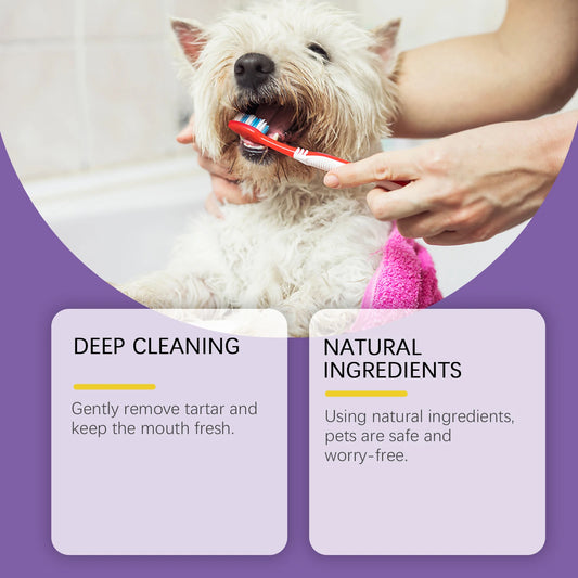 Pet Probiotic Toothpaste with Fresh Breath Formula Improve Bad Breath Cleaning Teeth Stains Reduce Dental Plaque Pet Oral Care