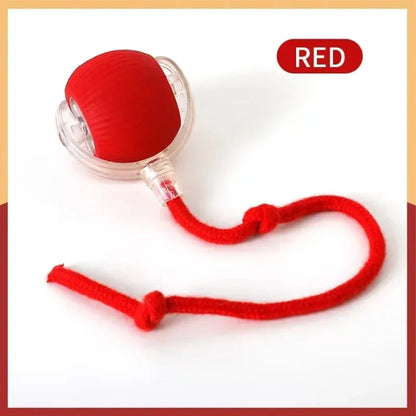 Cat interactive training automatic moving ball kitten electric ball toy automatic rolling magic ball toy cat