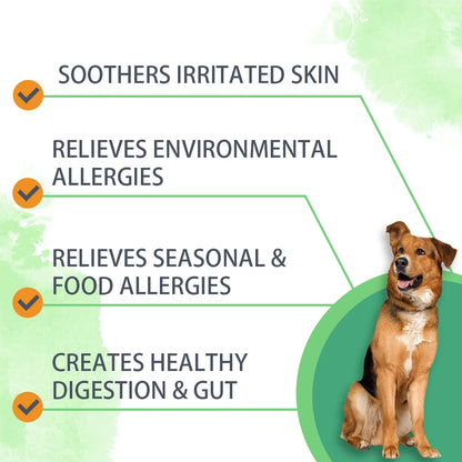 Anti-allergy & Immune Support Powder for dog with Omega-3 Fish Oil, Probiotics, Quercetin - Relieve itching, seasonal allergies
