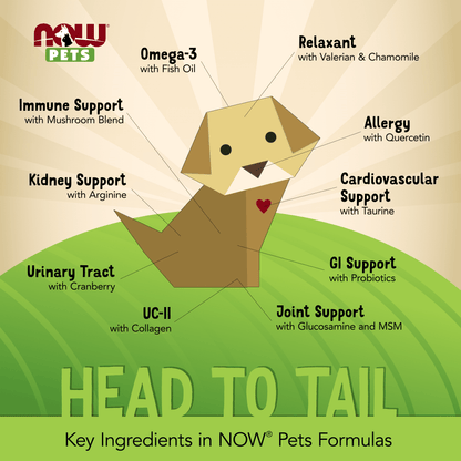 Pet Health, L-Lysine Supplement, Powder, Formulated for Cats, NASC Certified, 8-Ounce