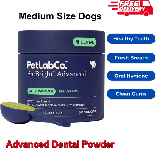 Petlab Co. Probright Dental Powder Dog Breath Freshener Teeth Cleaning Made Easy