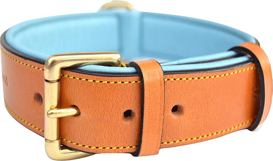 Leather Padded Dog Collar, Extra Large, Tan and Teal, Heavy Duty Brass Buckle, 28" Long X 1 3/4" Wide, Neck Size 22" to 25", Size XL