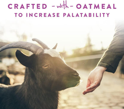 Goat Treats, Licorice Flavor, Nutritious Goat Snacks with Oatmeal, Great Goat Supplements Alternative, Ideal for Goats, Sheep & Small Livestock, 6 Lb