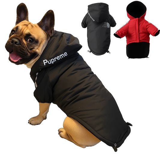 Dog wearing a black 'Supreme' hoodie with additional hoodies in the background.