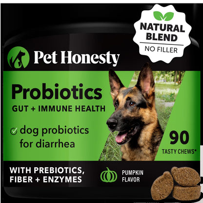 Digestive Probiotics Chews (90 Count - Pumpkin Flavor) 20.00% off Auto Renew