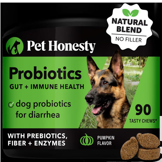 Digestive Probiotics Chews (90 Count - Pumpkin Flavor) 20.00% off Auto Renew