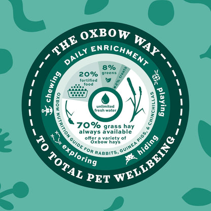 Animal Health Western Timothy Hay, Guinea Pig Hay, Small Pet Bunny Supplies, All Natural Grass for Guinea Pig, Bunny, Chinchilla & Hamster,  Rabbit Supplies for Bunnies, 9 Lb Box