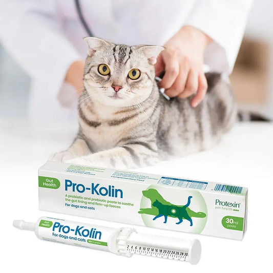Pet Digestive Support Paste - Probiotic Gut Health Supplement for Cats & Dogs, Soothes Diarrhea & Upset Stomach